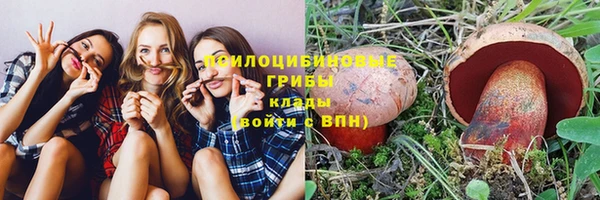 PSILOCYBIN Белоозёрский