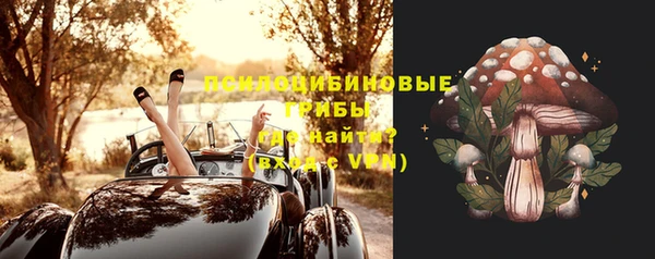 PSILOCYBIN Белоозёрский